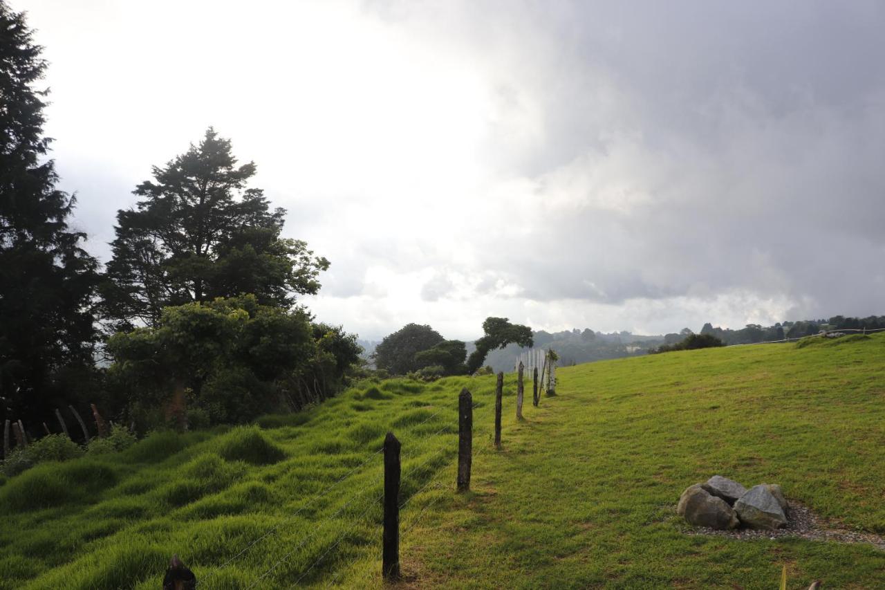 Cabanas La Montanuela Llano Grande  Eksteriør billede